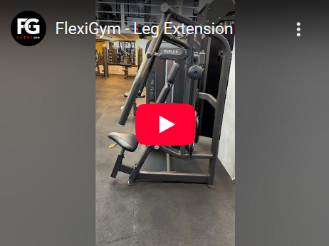Leg Extension